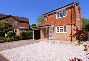 Photo 18- click for photo gallery